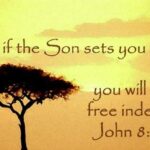 The Son Makes Us Free – Brian Orchard