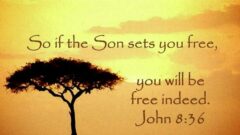 The Son Makes Us Free – Brian Orchard