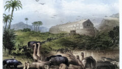 Did God Change the Rules After the Flood?