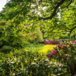 Feast of Tabernacles: Celebrating God’s Restored Kingdom