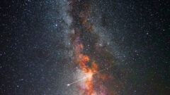 What Will Happen When You Die? – Stuart Wachowicz