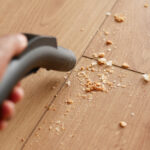 Out of Egypt Again: The Spiritual Pattern of Escape